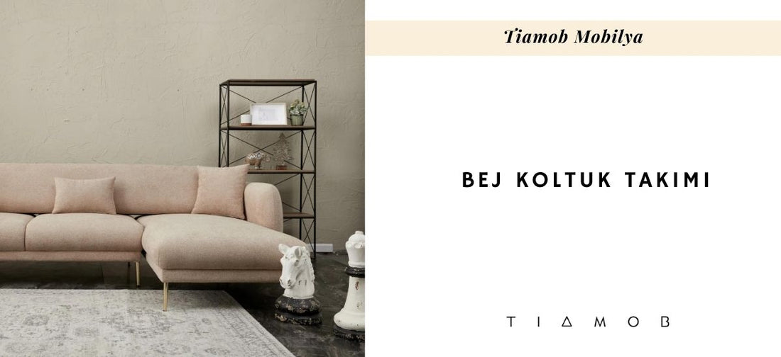 Açık Renk Koltuk mu Yoksa Koyu Renk Koltuk mu?